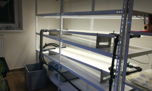 Initial setup of the vertical farm