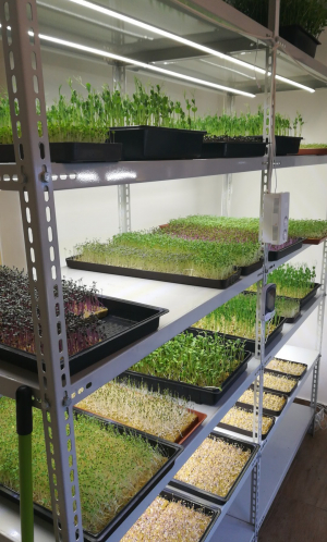 Vertical farm